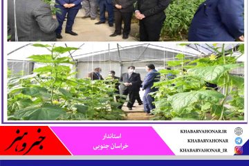 قابلیت توسعه خراسان جنوبی با توجه به محصولات کشاورزی