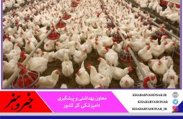 شناسایی ۱۸کانون آنفلوانزای فوق حاد پرندگان در خراسان جنوبی