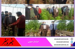 بازدید سرزده دادستان بشرویه به همراه مدیر جهاد کشاورزی از گلخانه های آسیب دیده