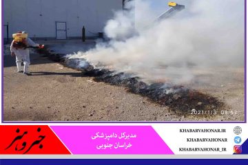 معدوم کردن ۲۷هزار قطعه مرغ در سومین واحد آلوده به آنفلوانزا