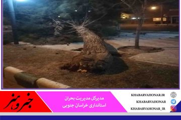 طوفان، ۱۸ اصله درخت را در خراسان جنوبی شکست