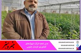 نهضت گلخانه‌ای خراسان جنوبی ۵۰ درصد پیشرفت فیزیکی دارد