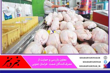 دلیل کمبود مرغ تفاوت قیمت در استان‌های همجوار و خروج مرغ از خراسان جنوبی