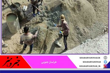 حضور ۱۲۰جهادگر بسیجی در روستا‌های بخش مرزی درح