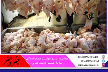 شناسایی ۹۹ واحد مرغ گوشتی متخلف در خراسان جنوبی