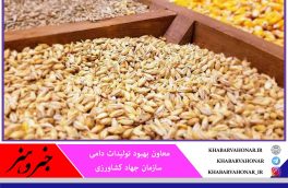 تأمین و ورود ۶ هزار تن جو به خراسان جنوبی