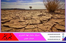 خسارت ۲ هزار میلیارد تومانی خشکسالی به کشاورزی خراسان جنوبی