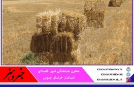 ۲۵ میلیارد تومان تسهیلات خرید علوفه در خراسان جنوبی پرداخت می‌شود