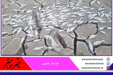کم‌آبی در سد حاجی‌آباد زیرکوه ۲ هزار بچه ماهی را تلف کرد