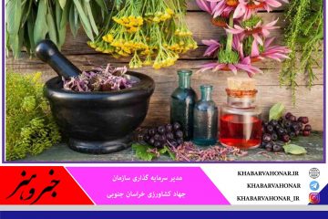 تخصیص ۳۴ میلیارد تومان اعتبار ملی برای کشت گیاهان دارویی خراسان جنوبی