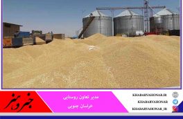خرید توافقی ۶۵ هزار تن محصولات کشاورزی در خراسان جنوبی