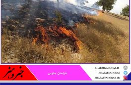 حریق در ۱.۵ هکتار از جنگل ماژان خراسان جنوبی آتش مهار شد