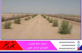 اعتبارات بیابان‌زدایی در خراسان جنوبی ۱۱۳ میلیارد تومان افزایش یافت
