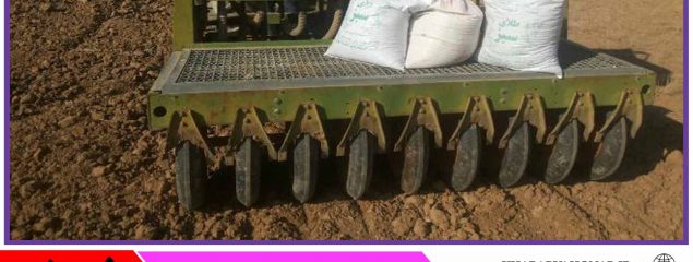 ۵ هزار و ۲۰۰ هکتار کشت علوفهای در خراسان جنوبی انجام میشود
