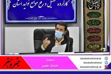 سرمایه‌گذاران اهلیت‌دار در خراسان جنوبی حمایت می‌شوند