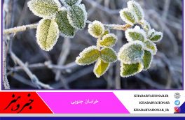 شروع مجدد روند کاهشی دما و یخبندان در خراسان جنوبی