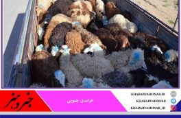 خشکسالی در خراسان جنوبی قاچاق دام را افزایش داد