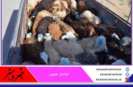 خشکسالی در خراسان جنوبی قاچاق دام را افزایش داد