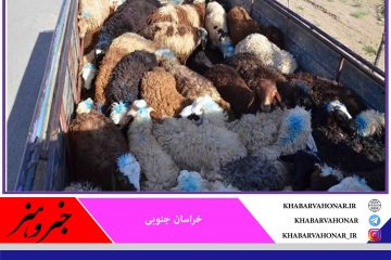 خشکسالی در خراسان جنوبی قاچاق دام را افزایش داد