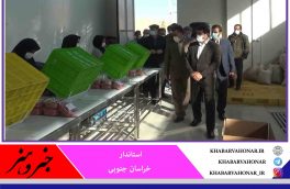 بازار فروش زرشک خراسان جنوبی توسعه می‌یابد