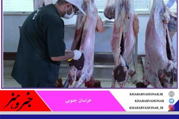 هرگونه افزایش قیمت گوشت در خراسان جنوبی رصد می‌شود