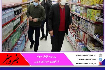 ۲۴۷ فقره بازرسی برای نظارت بر بازار کالا‌های اساسی در خراسان جنوبی