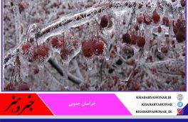 خراسان جنوبی یخ می زند