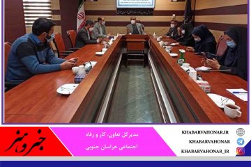 اعتبار مشاغل خانگی در خراسان جنوبی ۸ برابر شد