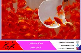 عرضه بدون مجوز ماهی قرمز در خراسان جنوبی ممنوع است