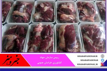توزیع گوشت تنظیم بازار در خراسان جنوبی از امروز