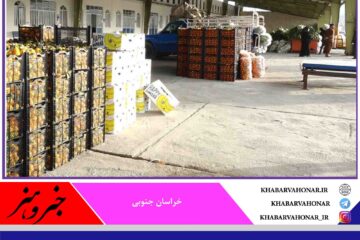 ۸۰۰ تن میوه تنظیم بازار در خراسان جنوبی توزیع می‌شود