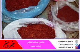 پلیس مانع قاچاق زعفران در منطقه مرزی زیرکوه شد