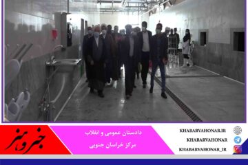 تاکید بر راه اندازی اتحادیه صنعت شترمرغ در خراسان جنوبی