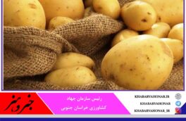 توزیع سیب زمینی با کاهش ۵۰ درصدی قیمت در خراسان جنوبی
