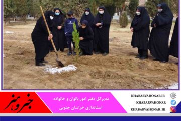 پویش درختکاری مادرانه؛ بهانه‌ای برای احیای مصوبه معطل مانده پارک بانوان شمال شهر بیرجند