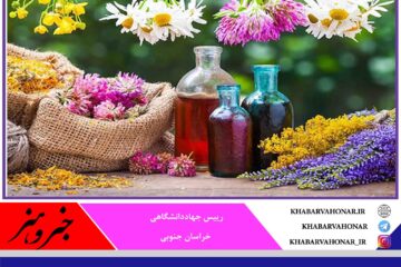 راه اندازی مرکز مشاوره گیاهان دارویی و توسعه مشاغل خانگی در جهاددانشگاهی خراسان جنوبی
