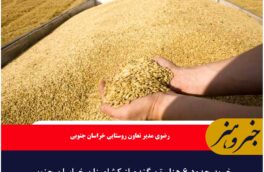 خرید حدود ۶ هزار تن گندم از کشاورزان خراسان جنوبی