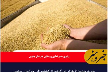 خرید حدود ۶ هزار تن گندم از کشاورزان خراسان جنوبی