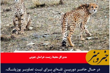 تجهیزات کافی برای مشاهده یوزپلنگ ایرانی وجود ندارد