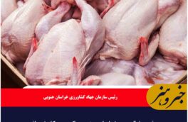 مصرف مرغ گرم در خراسان جنوبی ۴۰ درصد کاهش یافت