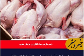 مصرف مرغ گرم در خراسان جنوبی ۴۰ درصد کاهش یافت