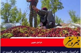 خراسان جنوبی، با تولید ۹۷ درصد عناب ایران بی رقیب در کشور و منطقه