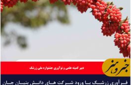 فرآوری زرشک با ورود شرکت های دانش بنیان جان تازه ای می گیرد