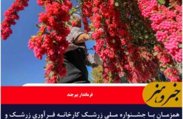 همزمان با جشنواره ملی زرشک کارخانه فرآوری در گازار بیرجند افتتاح می شود