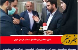 بسته حمایتی برای واحدهای تولیدی خراسان جنوبی تدوین شد