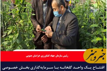 افتتاح یک واحد گلخانه با سرمایه‌گذاری بخش خصوصی در خوسف به مناسبت دهه فجر