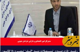 رشد ۵۰ درصدی تسهیلات بند “الف” تبصره ۱۸ قانون بودجه در خراسان جنوبی