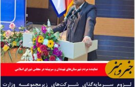 لزوم سرمایه‌گذای شرکت‌های زیرمجموعه وزارت تعاون در خراسان جنوبی