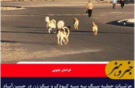 جزئیات حمله سگ به سه کودک و یک زن در حسین‌آباد سادات بیرجند