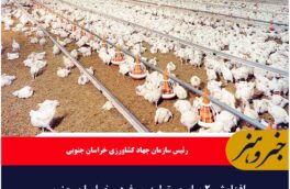 افزایش ۲ برابری تولید مرغ در خراسان جنوبی